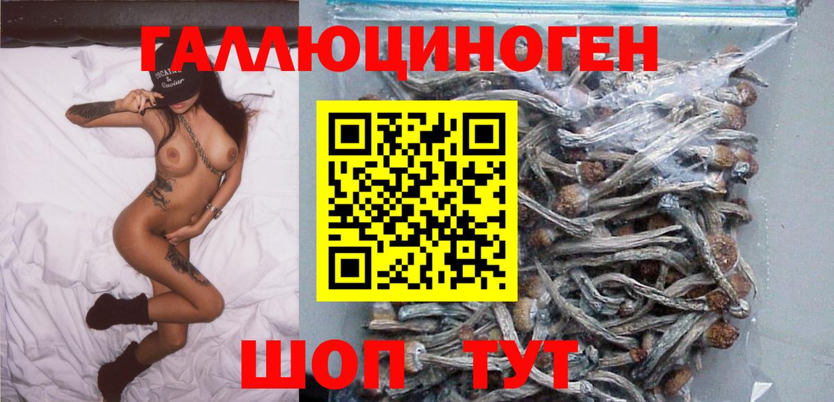Челябинск  Псилоцибиновые грибы Cubensis  Вход с VPN  Псилоцибиновые грибы MAGIC MUSHROOMS 