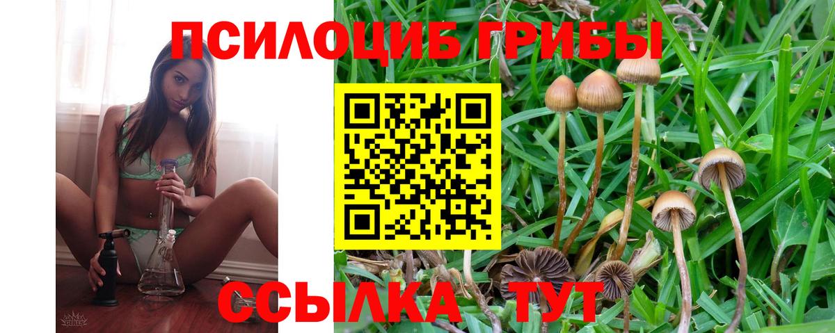 Псилоцибиновые грибы Cubensis Челябинск